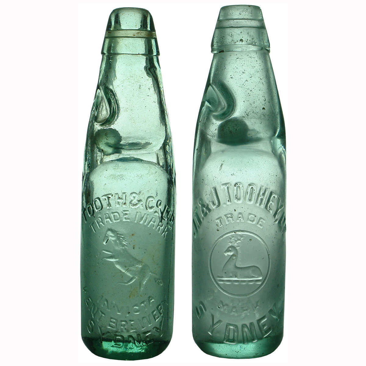 2 Codds. Tooth & Co Sydney; J. T. & J. Toohey, Sydney. (New South Wales)