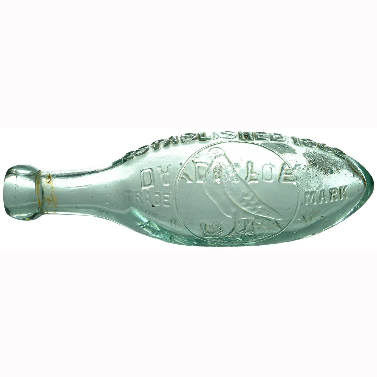 Torpedo. C. R. Moore, Daylesford. Pigeon. (Victoria)